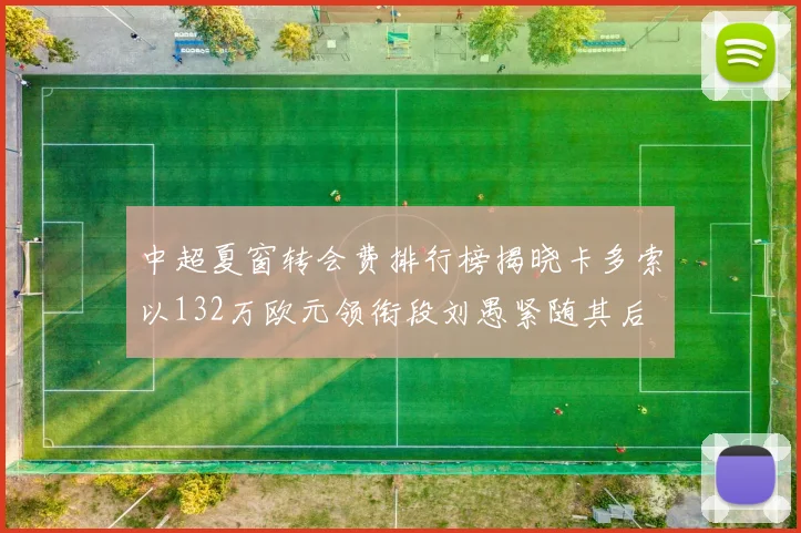 中超夏窗转会费排行榜揭晓卡多索以132万欧元领衔段刘愚紧随其后
