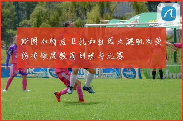 斯图加特后卫扎加杜因大腿肌肉受伤将缺席数周训练与比赛